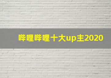 哔哩哔哩十大up主2020