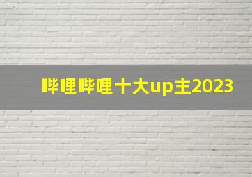 哔哩哔哩十大up主2023