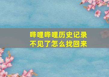 哔哩哔哩历史记录不见了怎么找回来