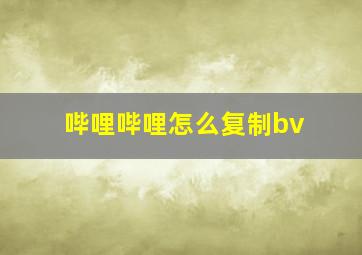 哔哩哔哩怎么复制bv