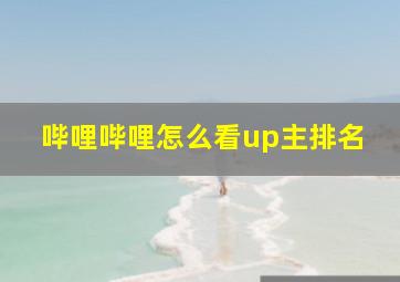 哔哩哔哩怎么看up主排名