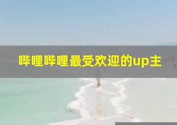 哔哩哔哩最受欢迎的up主