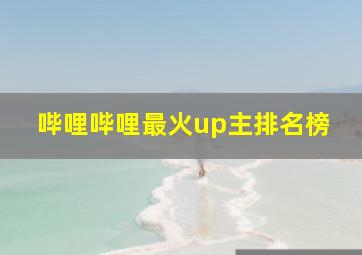 哔哩哔哩最火up主排名榜