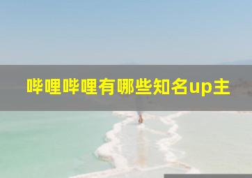 哔哩哔哩有哪些知名up主