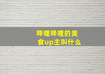 哔哩哔哩的美食up主叫什么