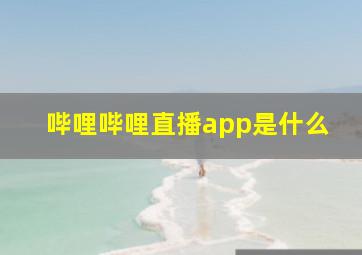 哔哩哔哩直播app是什么