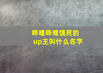 哔哩哔哩饿死的up主叫什么名字