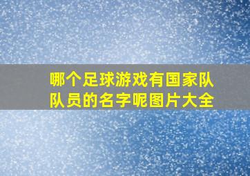 哪个足球游戏有国家队队员的名字呢图片大全