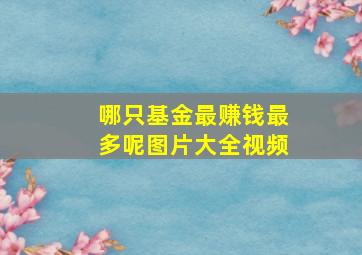 哪只基金最赚钱最多呢图片大全视频