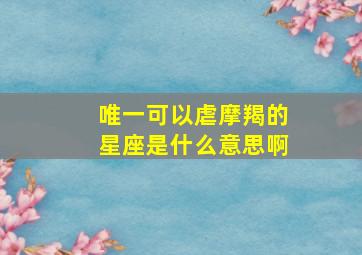 唯一可以虐摩羯的星座是什么意思啊