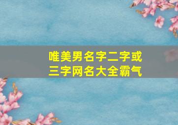 唯美男名字二字或三字网名大全霸气