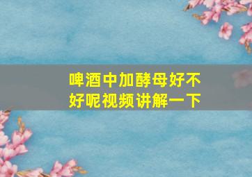 啤酒中加酵母好不好呢视频讲解一下