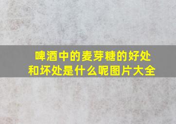 啤酒中的麦芽糖的好处和坏处是什么呢图片大全