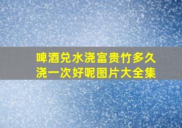 啤酒兑水浇富贵竹多久浇一次好呢图片大全集