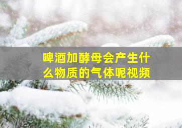 啤酒加酵母会产生什么物质的气体呢视频