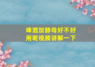 啤酒加酵母好不好用呢视频讲解一下