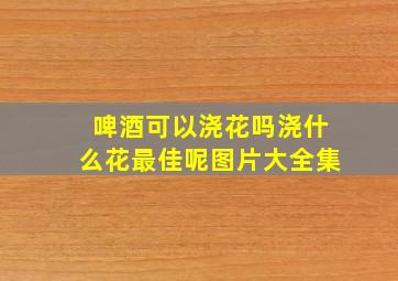 啤酒可以浇花吗浇什么花最佳呢图片大全集