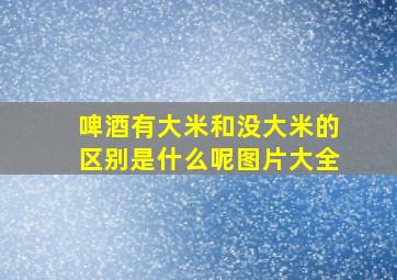 啤酒有大米和没大米的区别是什么呢图片大全