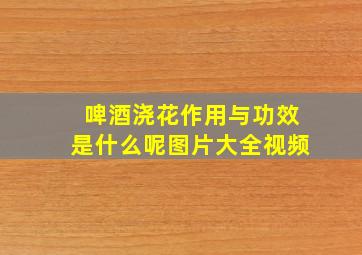 啤酒浇花作用与功效是什么呢图片大全视频