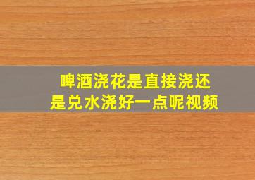 啤酒浇花是直接浇还是兑水浇好一点呢视频