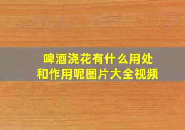 啤酒浇花有什么用处和作用呢图片大全视频