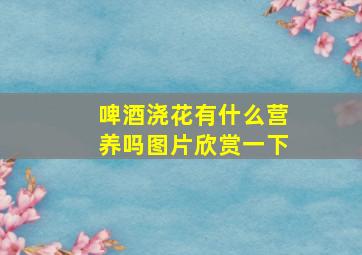 啤酒浇花有什么营养吗图片欣赏一下