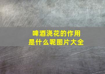 啤酒浇花的作用是什么呢图片大全