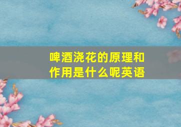 啤酒浇花的原理和作用是什么呢英语