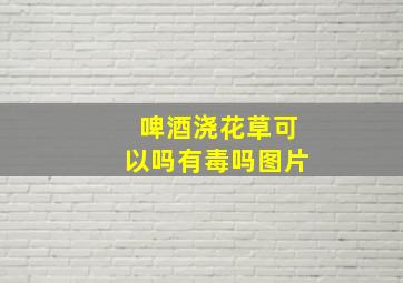 啤酒浇花草可以吗有毒吗图片