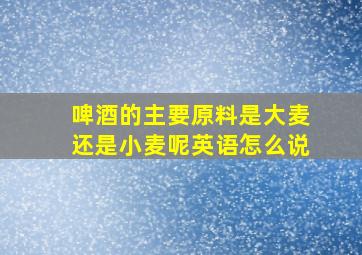 啤酒的主要原料是大麦还是小麦呢英语怎么说