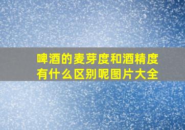 啤酒的麦芽度和酒精度有什么区别呢图片大全