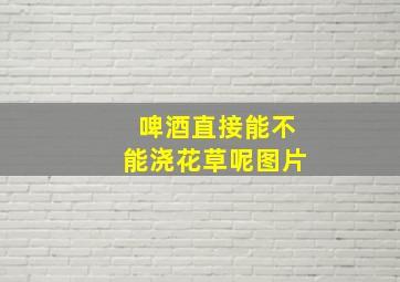 啤酒直接能不能浇花草呢图片