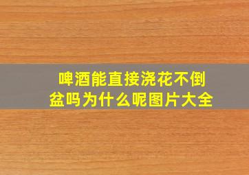 啤酒能直接浇花不倒盆吗为什么呢图片大全