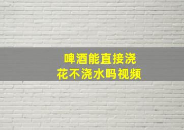 啤酒能直接浇花不浇水吗视频