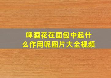 啤酒花在面包中起什么作用呢图片大全视频