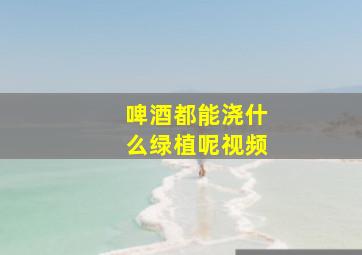 啤酒都能浇什么绿植呢视频