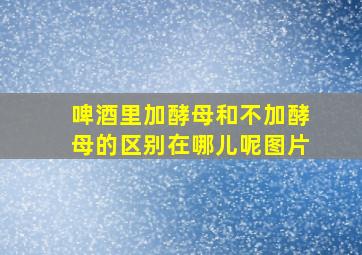 啤酒里加酵母和不加酵母的区别在哪儿呢图片