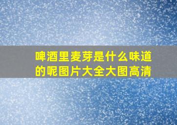 啤酒里麦芽是什么味道的呢图片大全大图高清