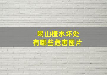 喝山楂水坏处有哪些危害图片