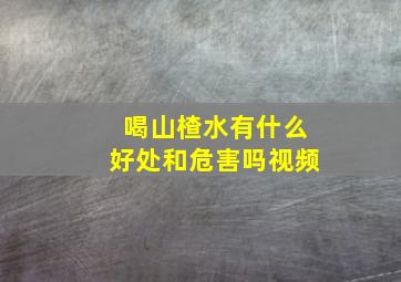 喝山楂水有什么好处和危害吗视频