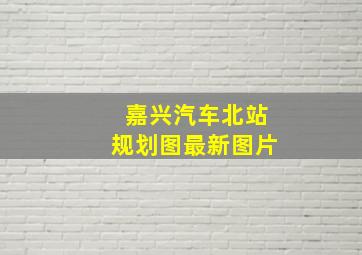 嘉兴汽车北站规划图最新图片