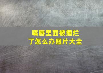 嘴唇里面被撞烂了怎么办图片大全