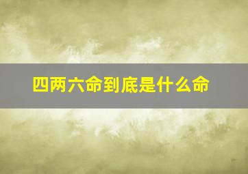 四两六命到底是什么命