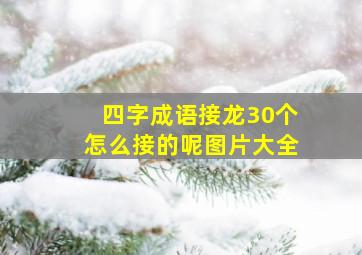 四字成语接龙30个怎么接的呢图片大全