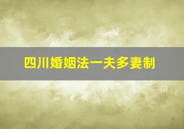 四川婚姻法一夫多妻制