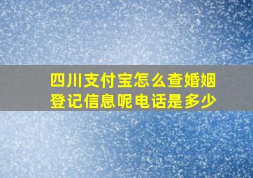 四川支付宝怎么查婚姻登记信息呢电话是多少