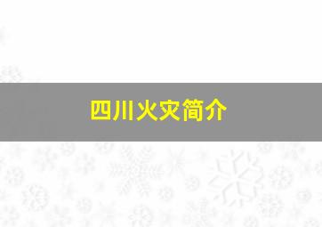 四川火灾简介