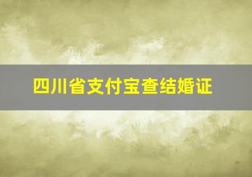 四川省支付宝查结婚证