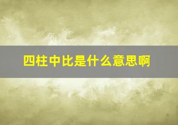 四柱中比是什么意思啊