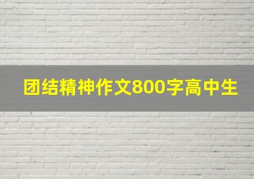 团结精神作文800字高中生